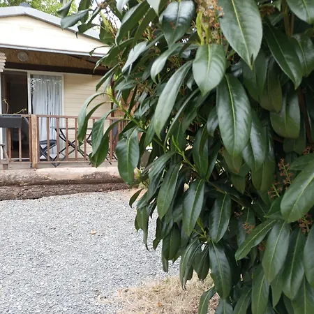 Cabanon Grenouille #park Le Pal Holiday home *